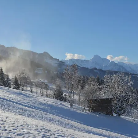 Panorama