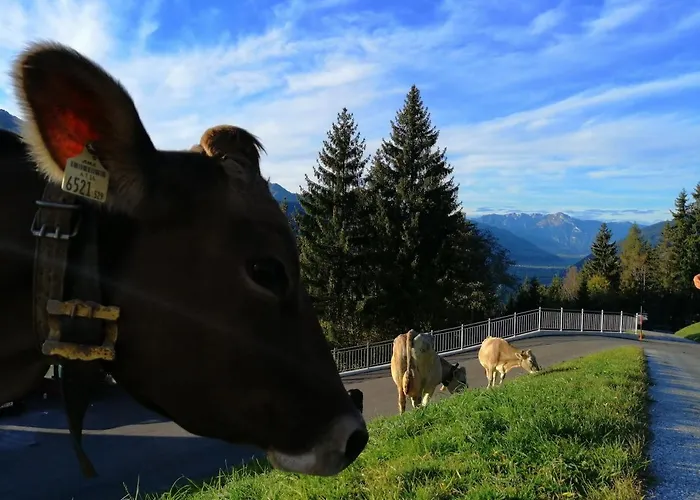 Apartmán Panorama *